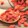 Goji Berry / Ningxia wolfberry à faible teneur en pesticides avec bon goût